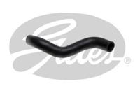 Radiateurslang 052477 - thumbnail