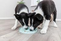 Trixie junior likplaat mintgroen - thumbnail