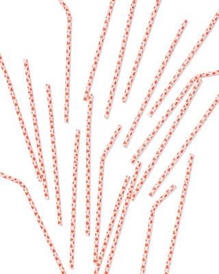 HEMA Papieren rietjes hartjes - 20 stuks