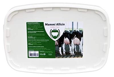 Excellent Mammi Allicin 24 st