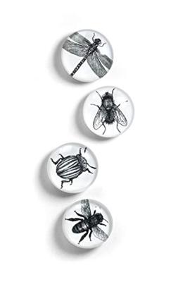 Trendform Magnet Eye - Bug - set van 4 verschillende