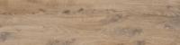 Nebraska Elm 30x120 rett - thumbnail