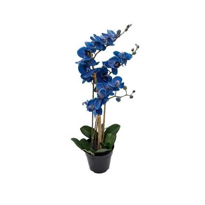 Phalaenopsis Orchidee in pot x3 60 cm Blue kunstplant Buitengewoon de Boet - Buitengewoon de boet