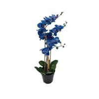 Phalaenopsis Orchidee in pot x3 60 cm Blue kunstplant Buitengewoon de Boet - Buitengewoon de boet - thumbnail