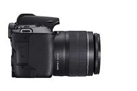 Canon EOS 250D zwart + 18-55mm iS STM COMPACT + EF 50mm F/1.8 STM - thumbnail