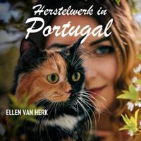 Herstelwerk in Portugal - thumbnail