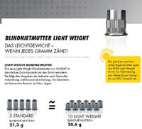 Gesipa Blindklinkmoer | blindkl.nagelsteel DxL 9 x 10,5 mm M6 | staal, verzinkte kleine kop | 250 stuks - 1658767 1658767 - thumbnail