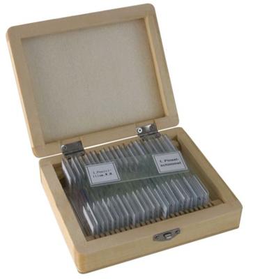 Bresser Optik Dauerpräparate 25er 5986001 Microscoop objectdrager