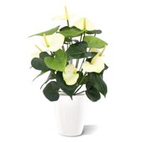 Anthurium deluxe kunstplant 50cm - creme - thumbnail