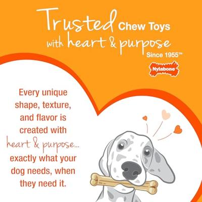 NYLABONE PUPPY FREEZER BONE WITH WASH CLOTH PINDAKAASSMAAK - thumbnail