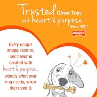 NYLABONE TEXTURED DURA CHEW BEEF JERKEY VOOR HARDE BIJTERS VANAF 23 KG - thumbnail