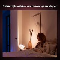 Philips Hue Tafellamp 26446500 White & Color Ambiance LED vast ingebouwd 8.1 W Warmwit, Neutraalwit, Daglichtwit - thumbnail