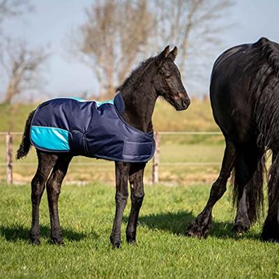 Harry&apos;s Horse TwoTone Veulendeken donkerblauw maat:65