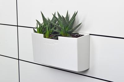 Legamaster accessoirehouder, magnetisch, wit