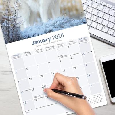 Pyreneese Berghond Kalender 2026 Pyreneese Berghond Kalender 2026