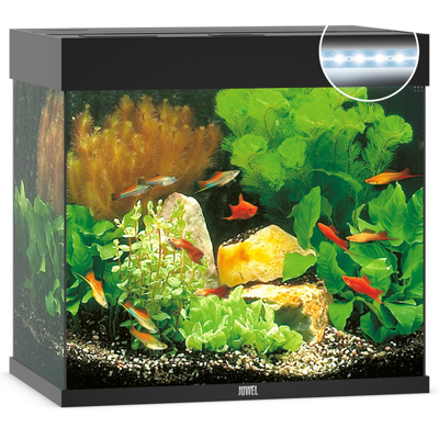 Juwel aquarium Lido 120 LED met filter wit Juwel Gebr. de Boon - Gebr de boon