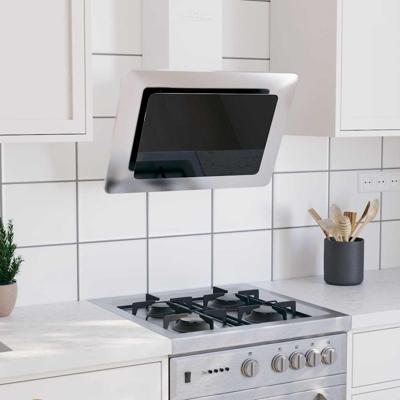 Wandafzuigkap 60 cm roestvrij staal gehard glas zilverkleurig