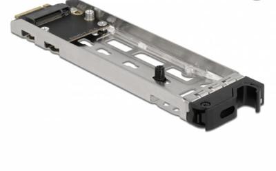 DeLOCK Mobile Rack Inner Tray 1 x M.2 NMVe SSD for Mobile Rack 47003 wisselframe