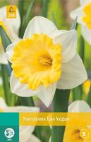 Narcis Las Vegas 5 bollen - thumbnail