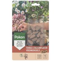Pokon Bio Terras en Balkon Planten Voedingskegels 15st - thumbnail