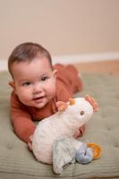 Little Dutch Farm Knuffel Tuimelaar Kip - thumbnail