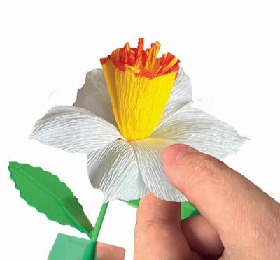 Clementoni Create your flowers - narcis