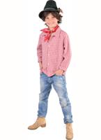 Tiroler blouse ruitje - thumbnail