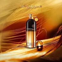 Montale Amber Musk Eau de parfum Spray 100ml - thumbnail