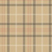 Dutch Wallcoverings Sauvage Ruit - Beige/Rood - thumbnail