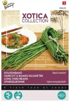 Zaden Xotica Kousenband zwartzadig Buzzy - Buzzy - thumbnail