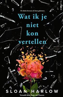 Wat ik je niet kon vertellen - Sloan Harlow - ebook