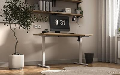 Elektrisch frame Xeno 2.1 White