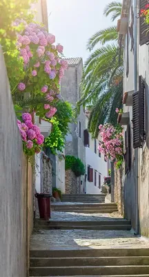 Alexsar Art Tuinschilderij dorp trede 130x70cm