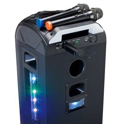 Set van 2 draadloze microfoons met draagbare ontvanger op batterijen