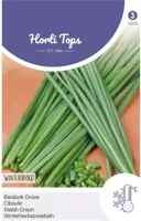 Zaden Bieslook Grove Hortitops - Hortitops - thumbnail
