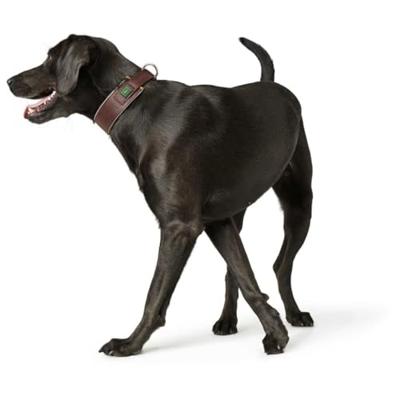 Hondenhalsband Hunter Neoprene Reflect Bruin