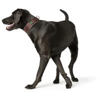 Hondenhalsband Hunter Neoprene Reflect Bruin - thumbnail