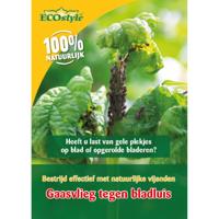 Gaasvlieg tegen bladluis ECOstyle - Ecostyle natuurlijke vijanden - thumbnail