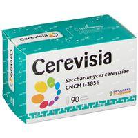Cerevisia 90 Capsules - thumbnail