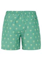 Protest PRTALVIS Zwemshort Heren S - thumbnail