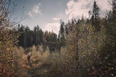 Hultafors Hakbijl HY 10 | 26 inch | 900 gram - HU840144 - HU840144 Hultafors Hakbijl HY 10 | 26 inch | 900 gram - HU840144 - HU840144