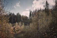 Hultafors Hakbijl HY 10 | 26 inch | 900 gram - HU840144 - HU840144 - thumbnail