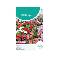 Zaden Impatiens Vlijtig Liesje Safari F2 gemengd Hortitops - Hortitops - thumbnail