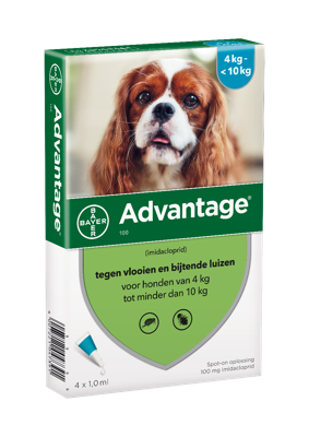 Advantage Hond 100
