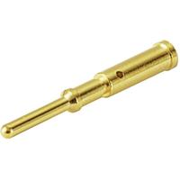 Weidmüller 2530940000 Power-connector Aantal polen (sensoren): 5 50 stuk(s) - thumbnail