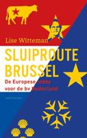 Sluiproute Brussel - Lise Witteman - ebook - thumbnail