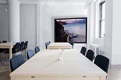 Celexon 1090390 Projectiescherm doek 203 x 114 cm Beeldverhouding: 16:9 - thumbnail