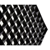 Broncolor Licht grid 40 graden voor Beautybox 65 - thumbnail