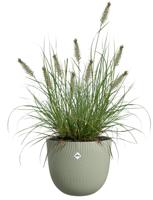 Bloempot sereh rond d25 h21 cm Scandinavisch groen bloempot elho - Elho - thumbnail