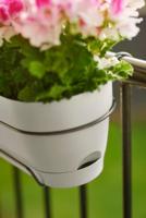 Elho Vibia campaba trough 50 silky white - thumbnail